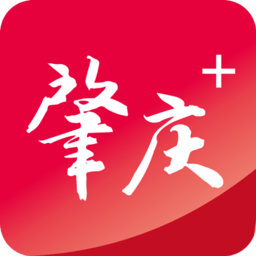 用户分享：半岛APP的真实使用感受